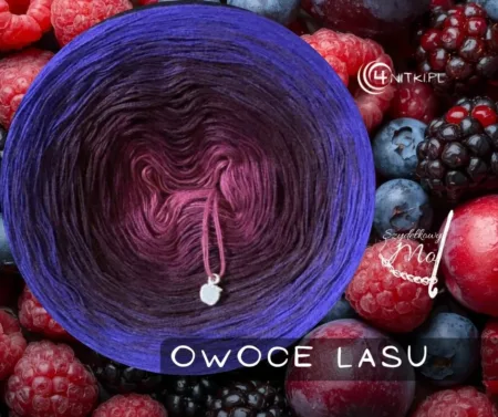 JESIENNA kolekcja motek OWOCE LASU -  Szydełkowy Mol